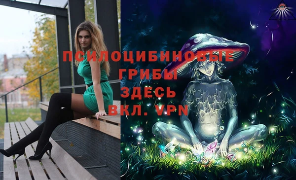 не бодяженный Алексин