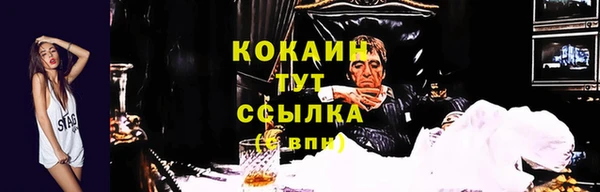 стафф Протвино