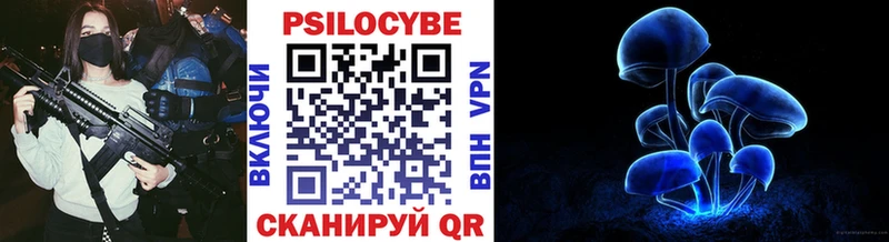 Псилоцибиновые грибы мицелий  МЕГА онион  Нолинск 
