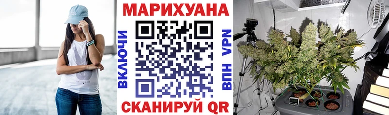МЕГА маркетплейс  Нолинск  Конопля сатива 